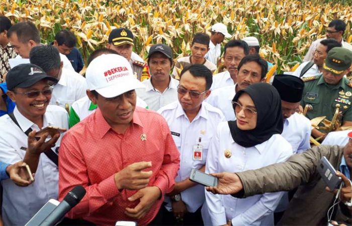 Mentan Jamin Ketersediaan Jagung Aman Mentan Jamin Ketersediaan Jagung Aman