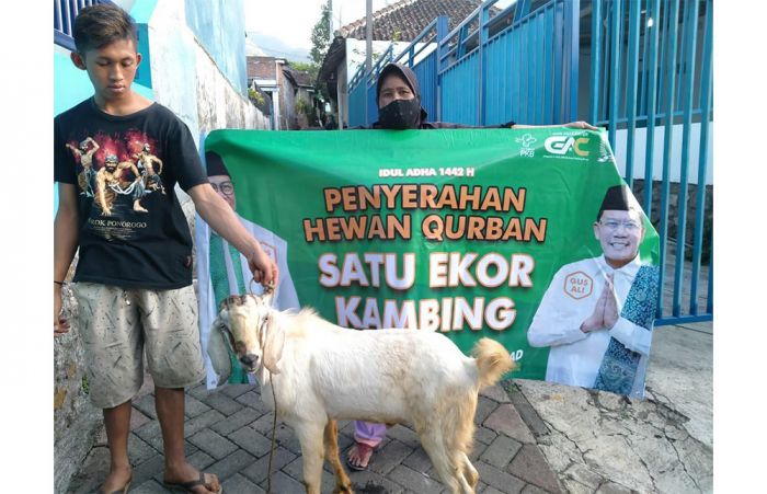 PKB Jatim Rayakan Idul Adha dengan Berkurban 1.000 Ekor Sapi dan Kambing PKB Jatim Rayakan Idul Adha dengan Berkurban 1.000 Ekor Sapi dan Kambing