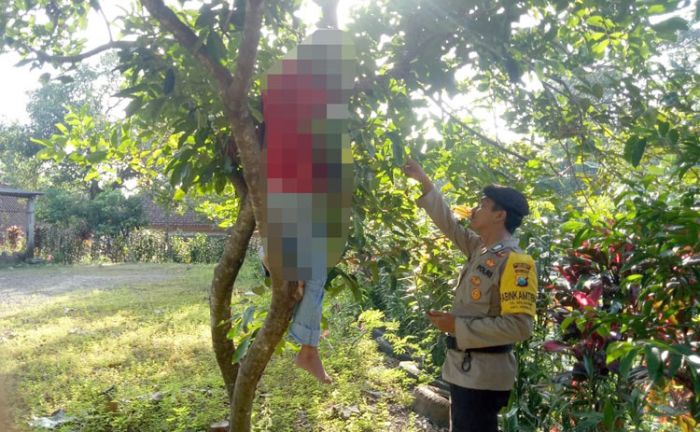 Diduga Depresi, Seorang Pria di Ngawi Nekat Gantung Diri di Pohon Rambutan Diduga Depresi, Seorang Pria di Ngawi Nekat Gantung Diri di Pohon Rambutan