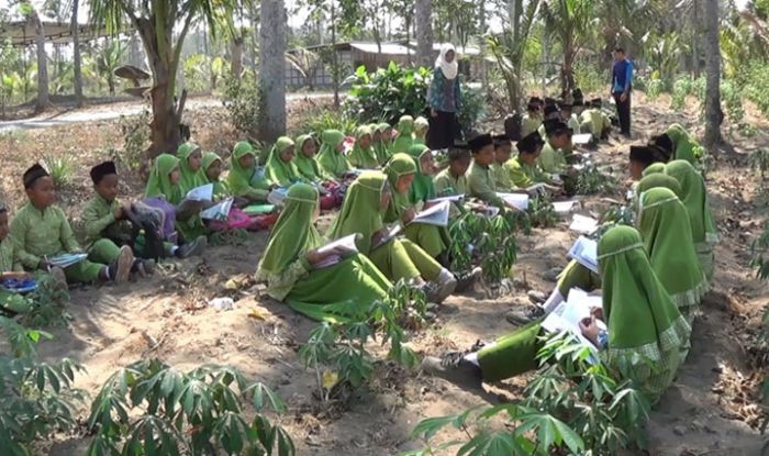 Peringati Hari Anak Internasional, Siswa MI di Blitar Belajar di Kebun Singkong