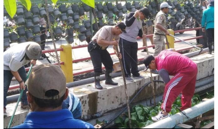 BPBD Jatim Bersama Instansi Terkait Bersihkan Anak Sungai Brantas BPBD Jatim Bersama Instansi Terkait Bersihkan Anak Sungai Brantas