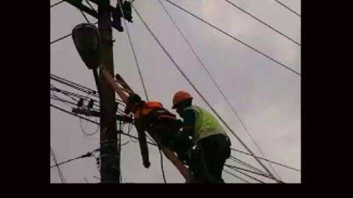 Ayan Kumat, Petugas PLN di Surabaya Tersengat saat Melakukan Tugas Perawatan