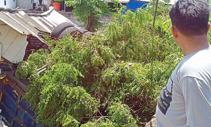 Rem Blong Saat Turun Tanjakan Condrodipo, Truk Muat Pasir Terguling Timpa Rumah Warga Kembangan Rem Blong Saat Turun Tanjakan Condrodipo, Truk Muat Pasir Terguling Timpa Rumah Warga Kembangan