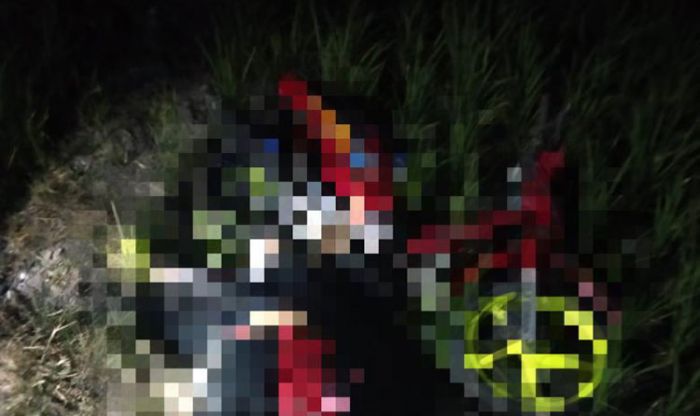 Diduga Laka dan Jatuh ke Sawah, Pengendara Motor di Ngawi Tewas Terkena Setrum Listrik Jebakan Tikus Diduga Laka dan Jatuh ke Sawah, Pengendara Motor di Ngawi Tewas Terkena Setrum Listrik Jebakan Tikus