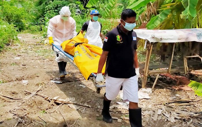 ​Sesosok Mayat Pria Ditemukan di Kebun Singkong Desa Pamotan Sidoarjo