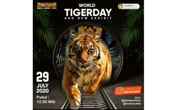 Peringati World Tiger Day, Batu Secret Zoo Gelar Atraksi Lorong Harimau