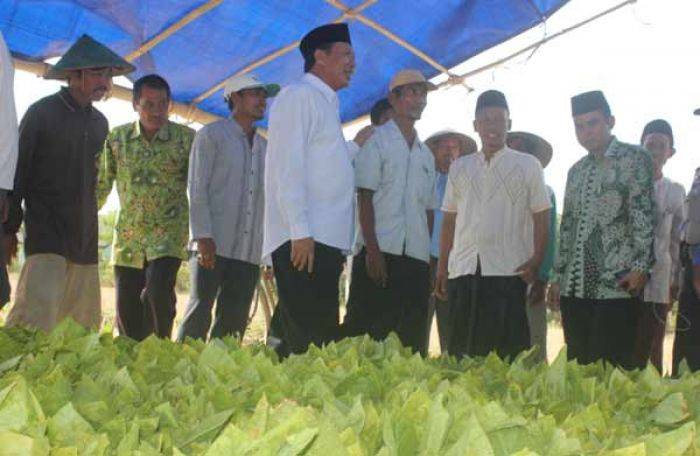 Datangi Pengajian Muslimat, Bupati Tuban malah Disambati Petani Tembakau Datangi Pengajian Muslimat, Bupati Tuban malah Disambati Petani Tembakau