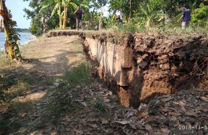 Bantaran Bengawan Solo di Lamongan Longsor Lagi, Warga Desa Keduyung Resah Bantaran Bengawan Solo di Lamongan Longsor Lagi, Warga Desa Keduyung Resah