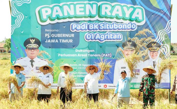 Pj Gubernur Jatim Panen Raya Padi Varietas BK 01 Agritan di Situbondo Pj Gubernur Jatim Panen Raya Padi Varietas BK 01 Agritan di Situbondo