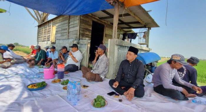 Serap Aspirasi Petani, Kades Kedanyang Gresik Bakal Gelar Aksi Gotong Royong Serap Aspirasi Petani, Kades Kedanyang Gresik Bakal Gelar Aksi Gotong Royong