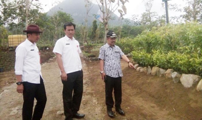 Hadiri GNPDAS, Menteri LHK Tanam Macadamia Hadiri GNPDAS, Menteri LHK Tanam Macadamia