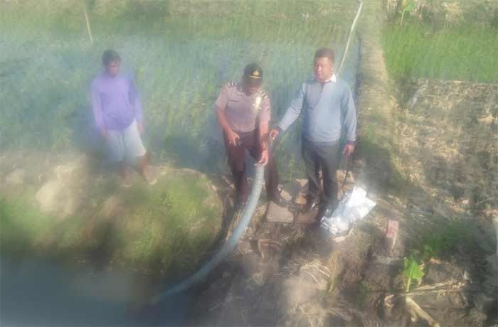 Tiga Pompa Air Milik Petani di Ngawi Amblas Dicuri Tiga Pompa Air Milik Petani di Ngawi Amblas Dicuri