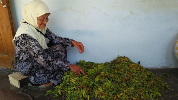 Nenek 90 Tahun Berangkat Haji dari Jualan Bunga Kenanga Nenek 90 Tahun Berangkat Haji dari Jualan Bunga Kenanga