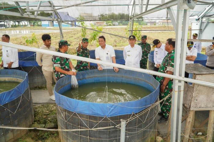 Dukung Swasembada Pangan Nasional, Pemkab Lamongan Kembangkan Kampung Pandu Sakti Dukung Swasembada Pangan Nasional, Pemkab Lamongan Kembangkan Kampung Pandu Sakti