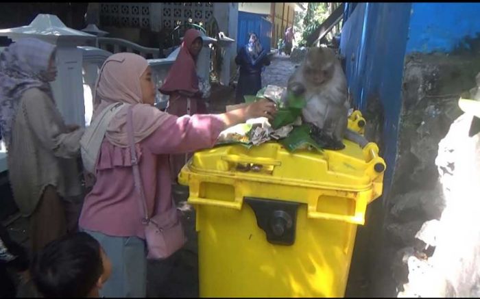 Beri Makan Monyet dan Ikan, Tradisi Sedekah Bumi Masih Lestari di Sendang Bektiharjo Tuban Beri Makan Monyet dan Ikan, Tradisi Sedekah Bumi Masih Lestari di Sendang Bektiharjo Tuban