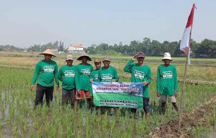 Ini Harapan Petani Desa Penambangan Sidoarjo pada Peringatan Hari Tani Nasional 2021 Ini Harapan Petani Desa Penambangan Sidoarjo pada Peringatan Hari Tani Nasional 2021