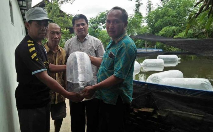 Anggota DPRD Jatim Beri Bantuan Belasan Ribu Bibit Ikan di Tulungagung Anggota DPRD Jatim Beri Bantuan Belasan Ribu Bibit Ikan di Tulungagung