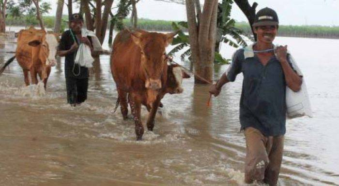 Banjir Terjang Ngawi, 2 Kecamatan Terendam
