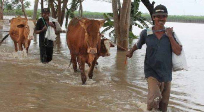 Banjir Terjang Ngawi, 2 Kecamatan Terendam Banjir Terjang Ngawi, 2 Kecamatan Terendam