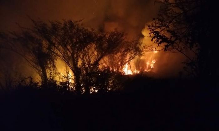 Lahan Kosong yang Dipenuhi Semak Belukar Seluas 200 Meter di Kota Mojokerto Hangus Terbakar