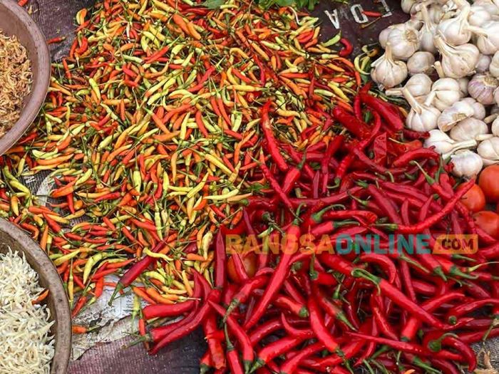 Harga Sembako Jatim Senin 11 Agustus 2025: Cabai Keriting Rp31.760/kg, Rawit Rp32.519/kg