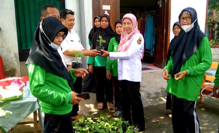 Bagikan 1.000 Bibit Sayur ke Sekolah, Cara Pemkot Kediri Kendalikan Inflasi Daerah