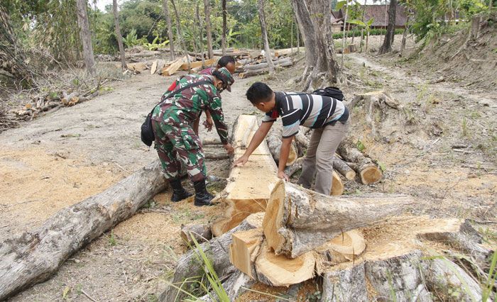 Inspiratif, Penganut Kejawen di Ngawi Sedekahkan 40 Pohon Jati untuk Renovasi Masjid Dusun Inspiratif, Penganut Kejawen di Ngawi Sedekahkan 40 Pohon Jati untuk Renovasi Masjid Dusun