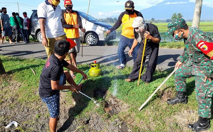 Tegaskan Larangan Jebakan Tikus Beraliran Listrik, Kapolres Ngawi Ajak Petani Gropyokan Tegaskan Larangan Jebakan Tikus Beraliran Listrik, Kapolres Ngawi Ajak Petani Gropyokan