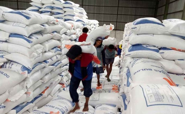 Bulog Jatim Serap Hasil Panen Petani Lokal Bulog Jatim Serap Hasil Panen Petani Lokal