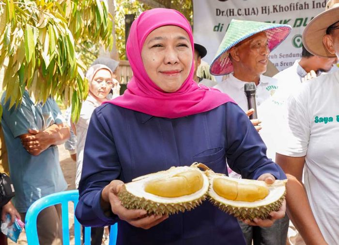 Peluang Ekspor Besar, Khofifah akan Gencarkan Penanaman Durian Premium di Jawa Timur Peluang Ekspor Besar, Khofifah akan Gencarkan Penanaman Durian Premium di Jawa Timur