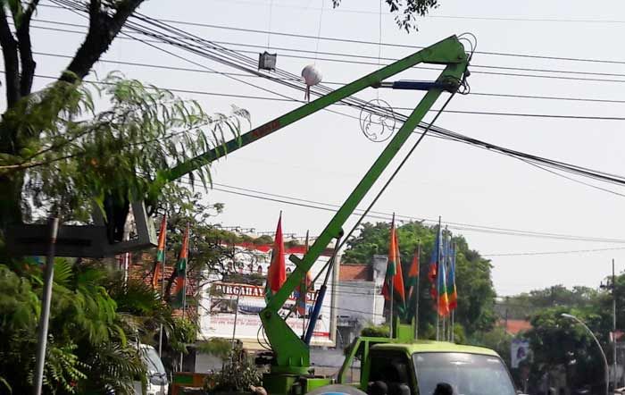 DLH Gresik Percantik Kota dengan Lampu Pohon