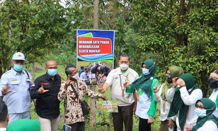 Lestarikan SDA, Perempuan Tani HKTI Gelar Aksi Tanam Pohon di Lereng Gunung Bromo dengan Katapel Lestarikan SDA, Perempuan Tani HKTI Gelar Aksi Tanam Pohon di Lereng Gunung Bromo dengan Katapel