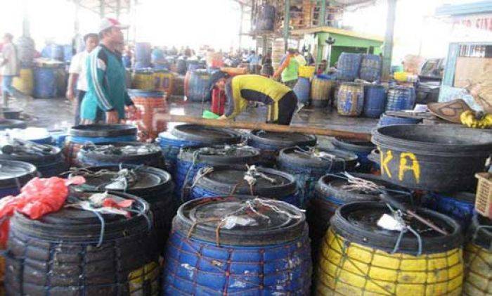 Bau Busuk Limbah Pasar Ikan Lamongan Dikeluhkan Bau Busuk Limbah Pasar Ikan Lamongan Dikeluhkan