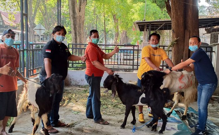 Gandeng SIG, PG, dan Polres Gresik, KWG Bagikan Daging Kurban kepada Warga Terdampak Covid-19 Gandeng SIG, PG, dan Polres Gresik, KWG Bagikan Daging Kurban kepada Warga Terdampak Covid-19