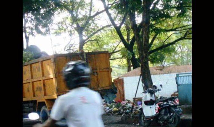 Bau Busuk Sampah di TPS Pasar Burung Lamongan Meresahkan
