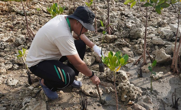 Petrokimia Gresik Tanam 10 Ribu Mangrove di PRPM Mengare Petrokimia Gresik Tanam 10 Ribu Mangrove di PRPM Mengare