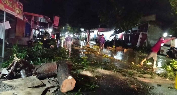 Puluhan Pohon Tumbang Diterjang Puting Beliung, BPBD Kota Kediri Lakukan Evakuasi