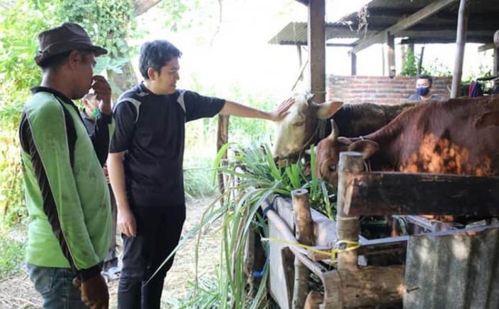 Antisipasi Covid-19, Mas Iin Minta Penerapan Prokes Saat Salat Idul Adha dan Berkurban Antisipasi Covid-19, Mas Iin Minta Penerapan Prokes Saat Salat Idul Adha dan Berkurban
