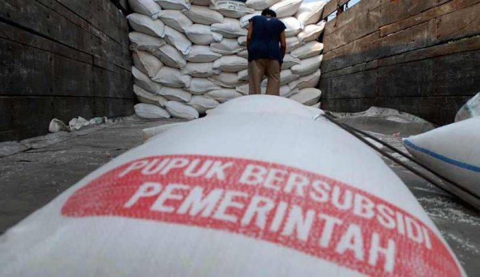 Kebutuhan Pupuk di Bojonegoro Diprediksi Meningkat Kebutuhan Pupuk di Bojonegoro Diprediksi Meningkat