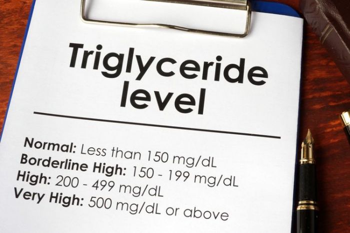 Apa yang Dirasakan Jika Kadar Trigliserida Tinggi? Ini Penjelasannya Apa yang Dirasakan Jika Kadar Trigliserida Tinggi? Ini Penjelasannya