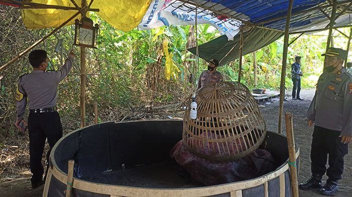 Diduga Jadi Lokasi Sabung Ayam, Polisi Bongkar Areal Persawahan di Balongbendo Sidoarjo Diduga Jadi Lokasi Sabung Ayam, Polisi Bongkar Areal Persawahan di Balongbendo Sidoarjo