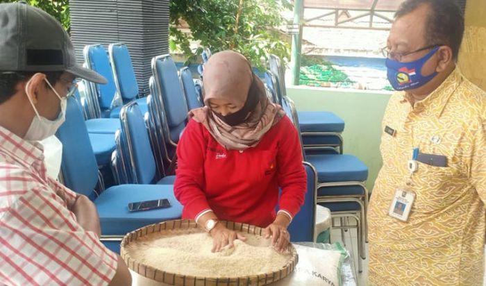 Kualitas Lebih Terjamin, KPM BPNT di Parengan Pilih Beras Premium Kualitas Lebih Terjamin, KPM BPNT di Parengan Pilih Beras Premium