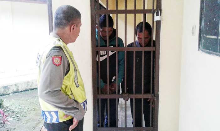 Polsek Nongkojajar Bekuk Maling Kayu Pinus Polsek Nongkojajar Bekuk Maling Kayu Pinus