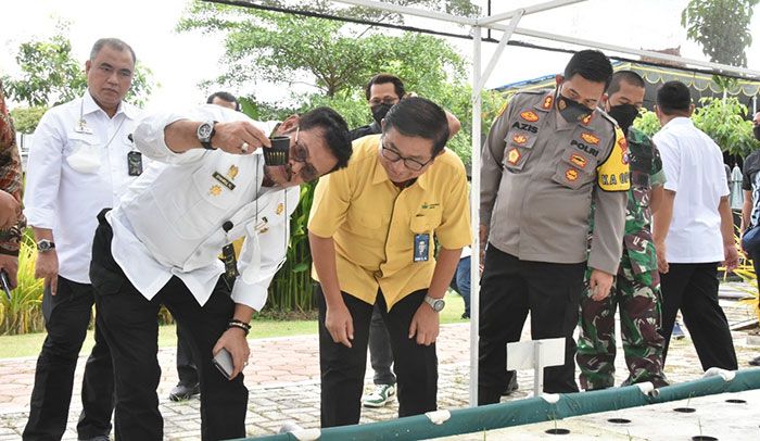 Pertanian Tumbuh 16,24 Persen saat Pandemi, Mentan Apresiasi Petrokimia Gresik Pertanian Tumbuh 16,24 Persen saat Pandemi, Mentan Apresiasi Petrokimia Gresik
