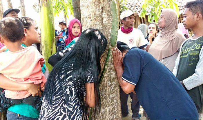Jember Heboh, Pohon Akasia Terdengar Menangis, Ratusan Warga Berbondong Mendengarkan Jember Heboh, Pohon Akasia Terdengar Menangis, Ratusan Warga Berbondong Mendengarkan