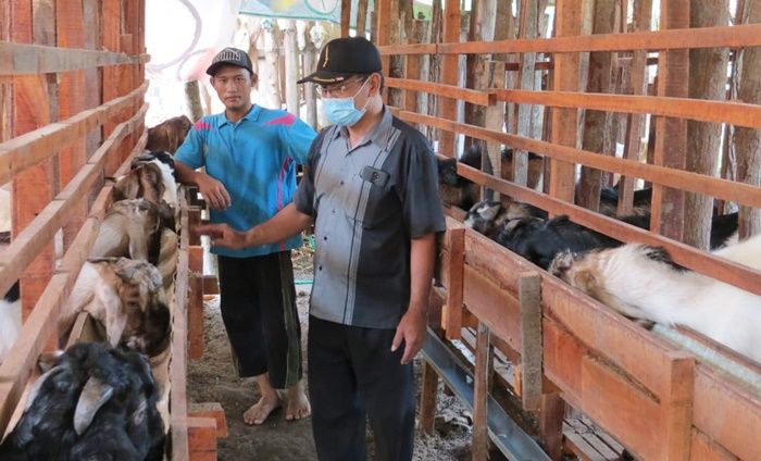 BUMDes Karya Makmur Madiun Gandeng Pemuda Kembangkan Ternak Modern BUMDes Karya Makmur Madiun Gandeng Pemuda Kembangkan Ternak Modern