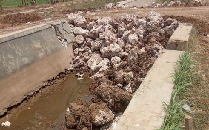 ​Pengerjaan Ring Road Tutup Aliran Sungai, Petani di Tuban Sambat