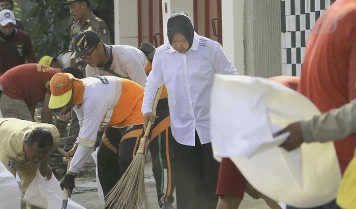 Wali Kota Risma Percantik Kawasan Pandegiling dengan Tanaman Pelindung Wali Kota Risma Percantik Kawasan Pandegiling dengan Tanaman Pelindung