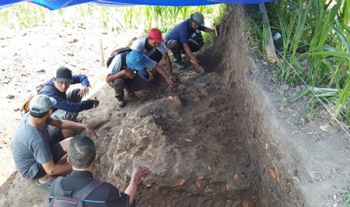 ​Ekskavasi Candi Gedog Kota Blitar, BPCB Trowulan Temukan Struktur Pondasi