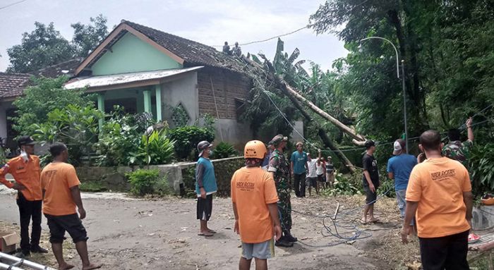 Puting Beliung Rusak Puluhan Rumah di Kecamatan Geger Madiun Puting Beliung Rusak Puluhan Rumah di Kecamatan Geger Madiun